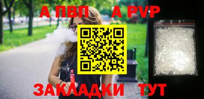 стаф Гай