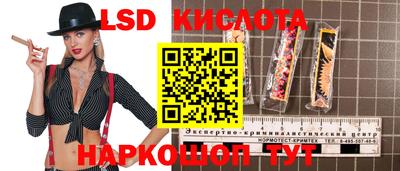 стаф Гай