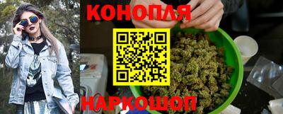 стаф Гай