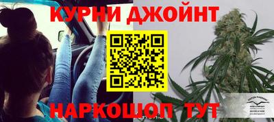 стаф Гай