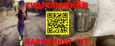 дживик Гатчина