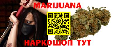 стаф Гай