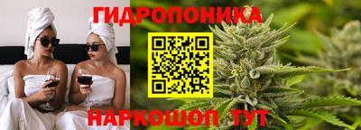 дживик Гатчина