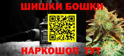 стаф Гай