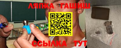 стаф Гай