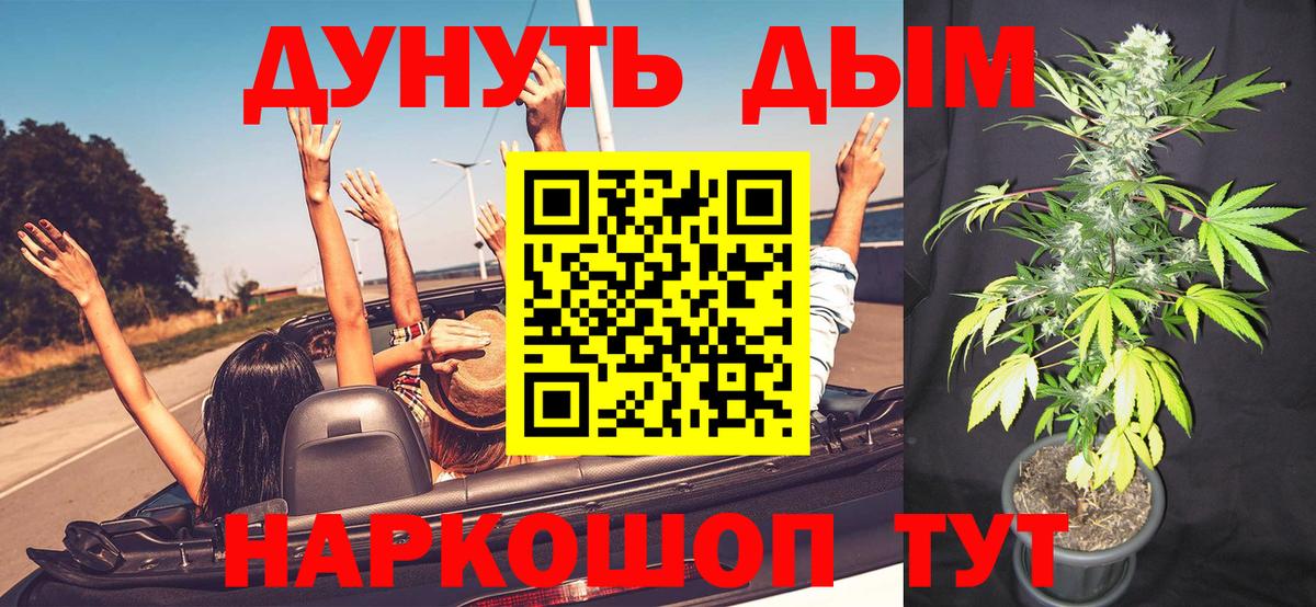 Канабис планчик Орёл